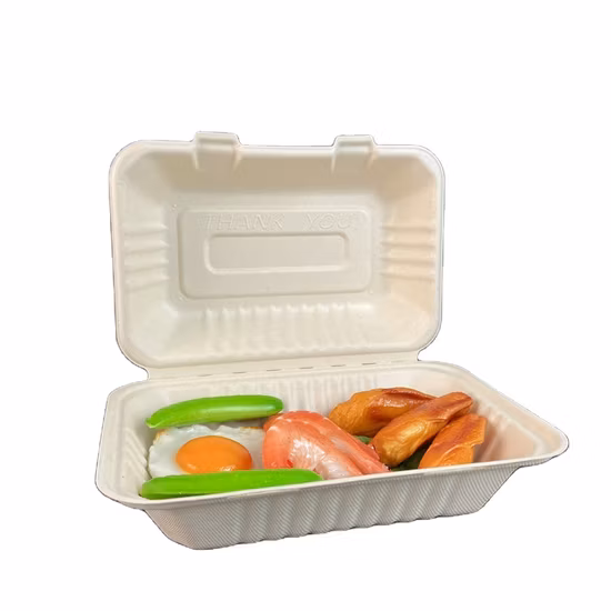 Bagasse-Box, biologisch abbaubar, kundenspezifische Lebensmittel-Take-out-Behälter, chinesisches schwarzes Hühnerfutter, Ramen-Nudeln, PP-Deckel, Papier-Take-out-Box